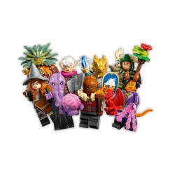 LEGO Dungeons & Dragons®